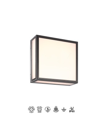 BACHELOR * PLAFÓN/APLIQUE EXTERIOR GRIS OSCURO LED IP65 - 14W - 3000K